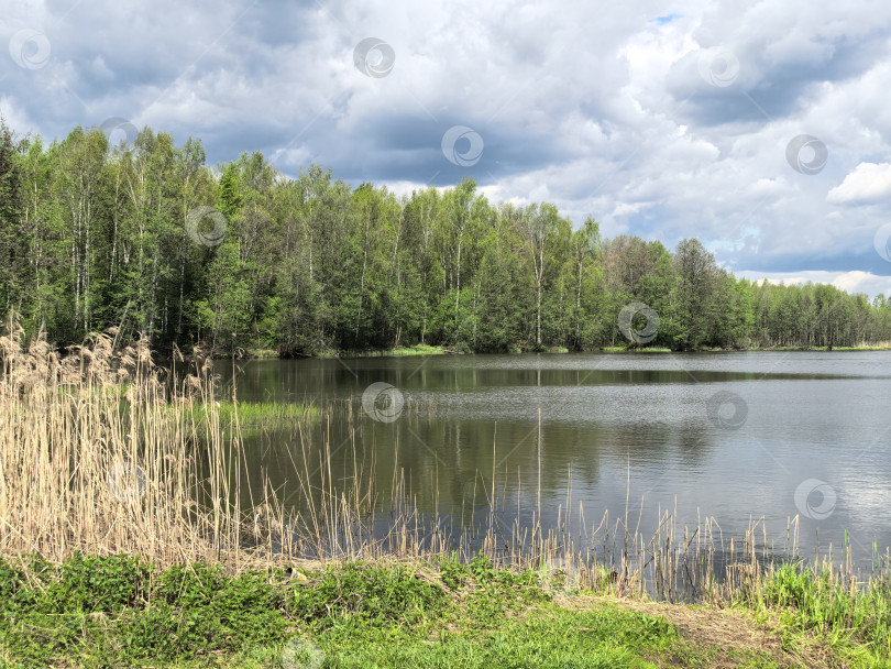 Скачать отдых у водоёма в Подмосковье фотосток Ozero