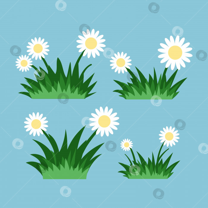 Скачать Кусты травы и белые цветы, набор цветов, изолированных на заднем плане, векторная иллюстрация. фотосток Ozero