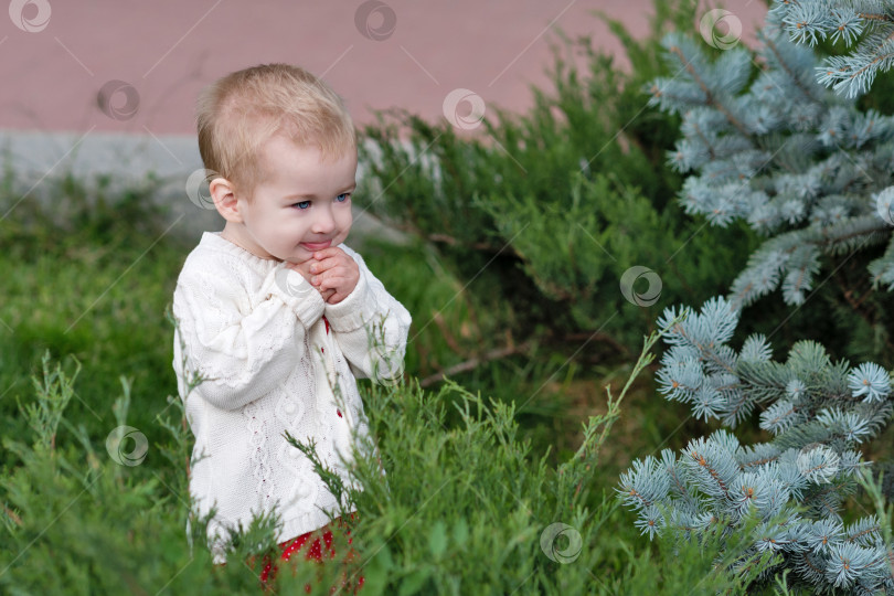 Скачать Эмоциональный портрет малыша на природе фотосток Ozero