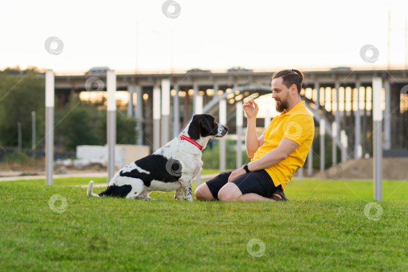Скачать Мужчина выгуливает собаку фотосток Ozero