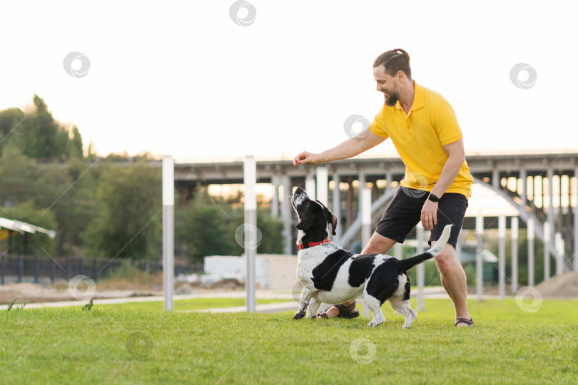 Скачать Мужчина выгуливает собаку фотосток Ozero