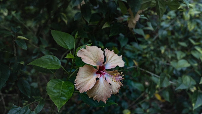 [object Object] undefined