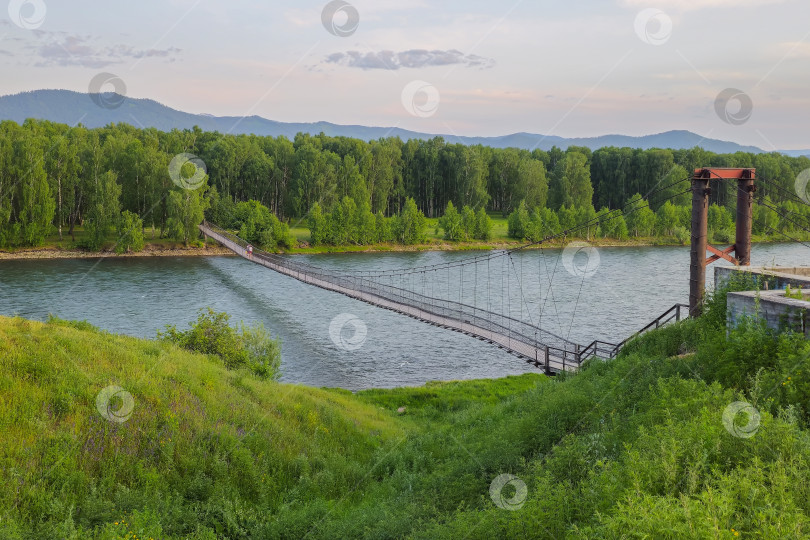 Скачать Пешеходный мост через реку Кокса в Усть-Коксе фотосток Ozero
