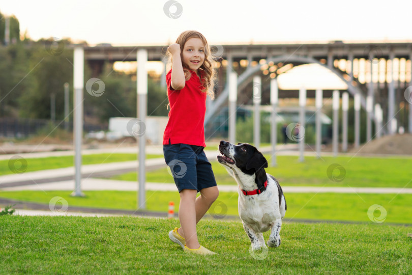 Скачать Девушка гуляет с собакой фотосток Ozero