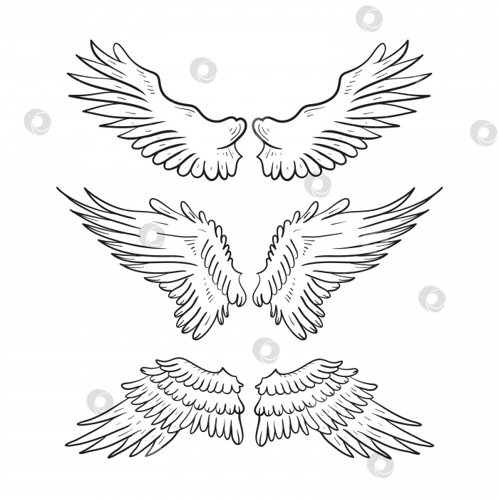 Скачать Набор контурного рисунка крыльев ангела для татуировки. Векторная иллюстрация. фотосток Ozero