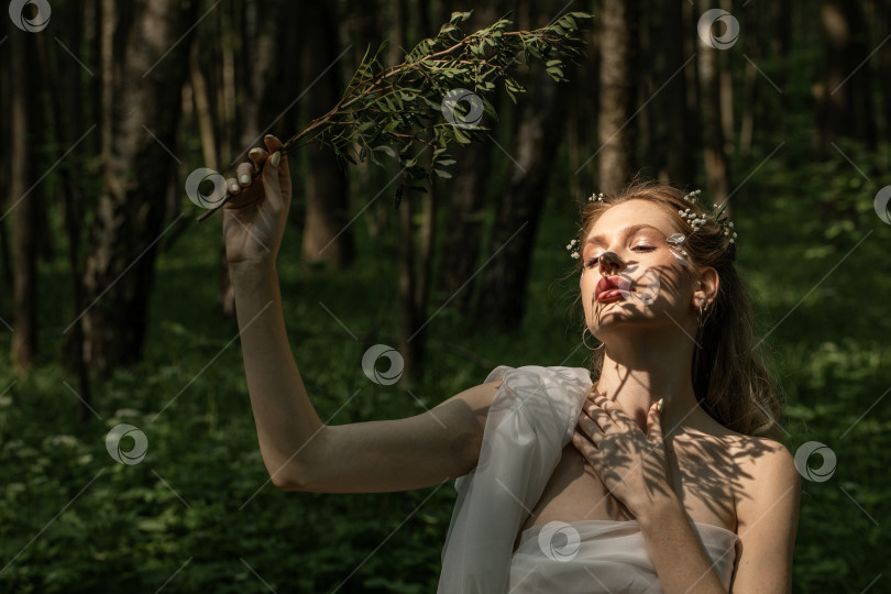 Скачать Портрет молодой красивой девушки в образе лесной нимфы фотосток Ozero