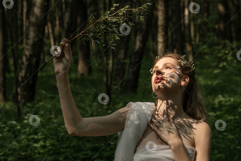 Скачать Портрет молодой красивой девушки в образе лесной нимфы фотосток Ozero