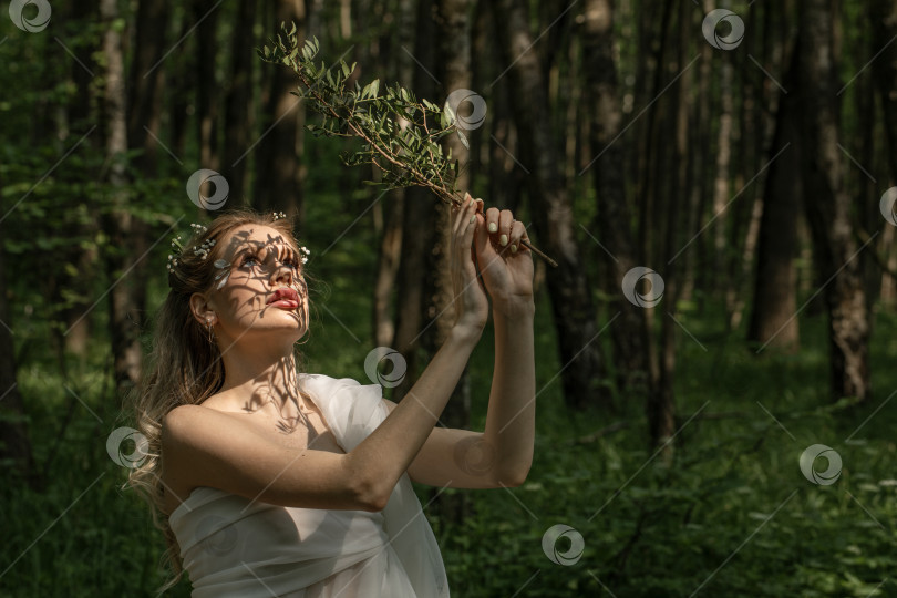 Скачать Портрет молодой красивой девушки в образе лесной нимфы фотосток Ozero
