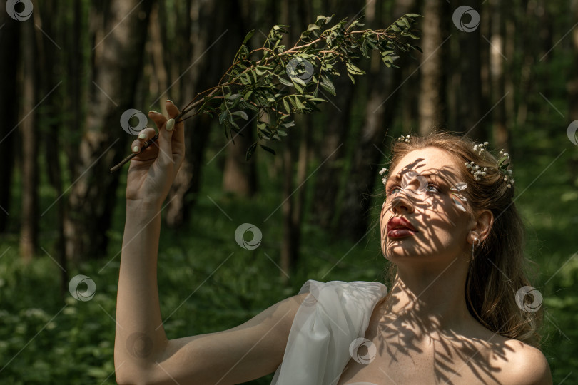 Скачать Портрет молодой красивой девушки в образе лесной нимфы фотосток Ozero