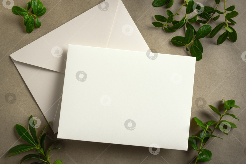 Скачать пустая карточка и зеленые растения фотосток Ozero