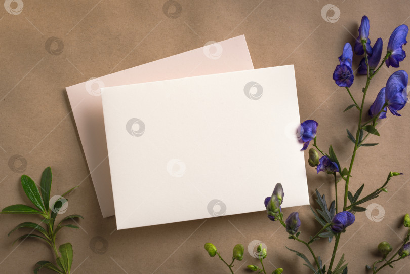 Скачать пустая карточка и растения фотосток Ozero
