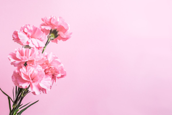 [object Object] undefined