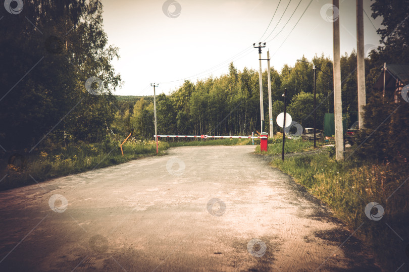 Скачать Дороги в дачном поселке летом фотосток Ozero