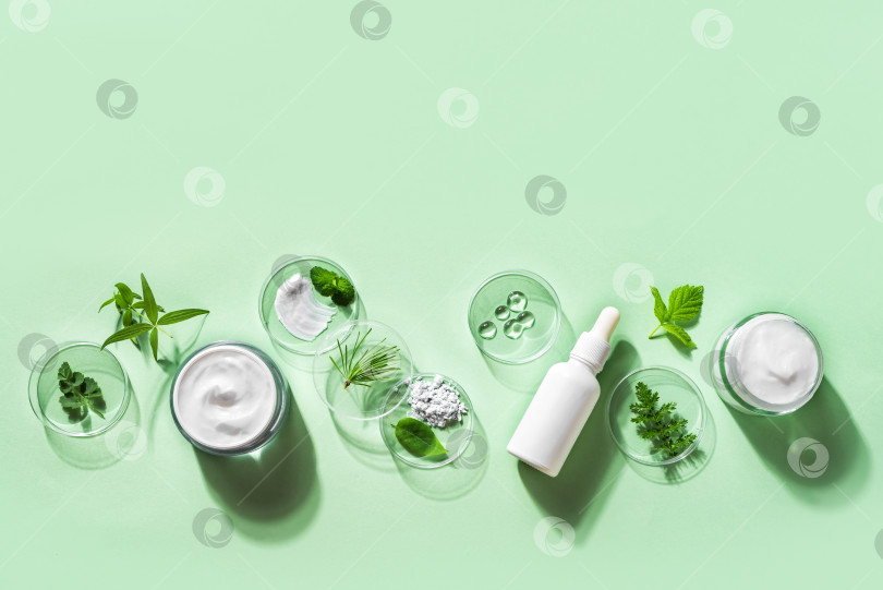Скачать Органические косметические продукты и ингредиенты фотосток Ozero