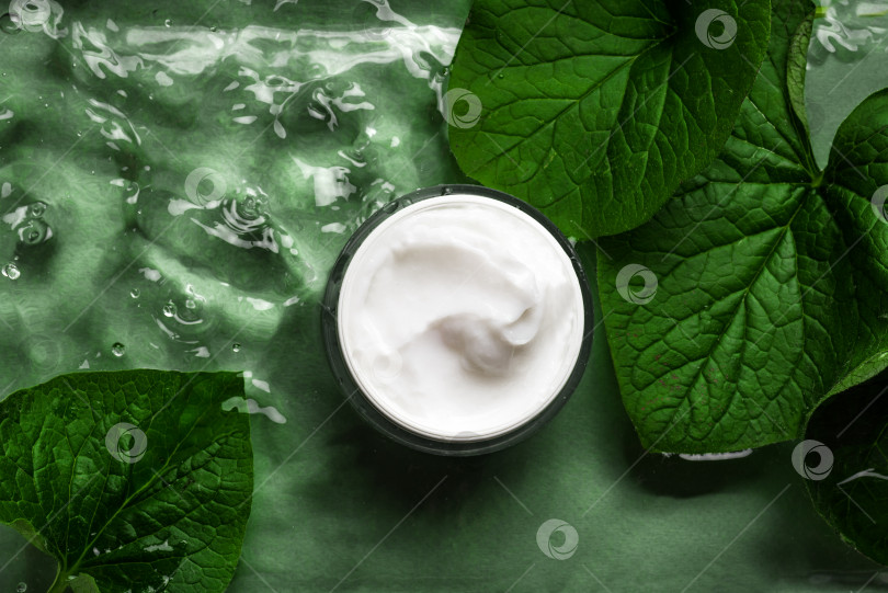 Скачать Jar of cosmetic cream and plants on green water фотосток Ozero