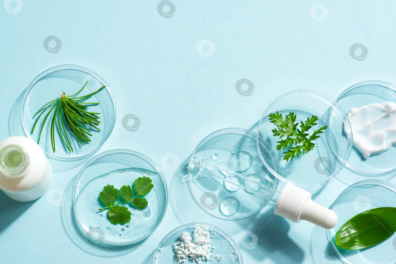 Скачать Organic skin care products and green plants фотосток Ozero