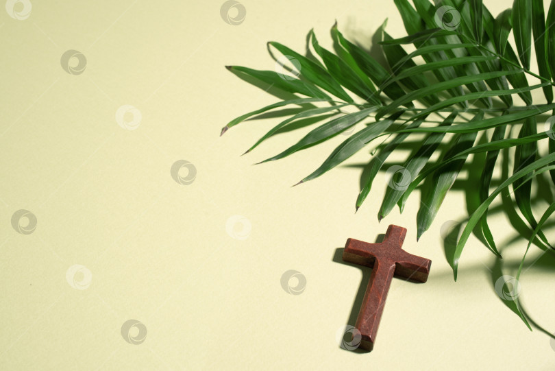 Скачать Palm Sunday holiday фотосток Ozero