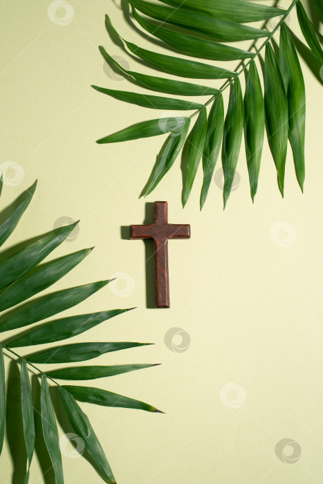 Скачать Palm Sunday holiday фотосток Ozero