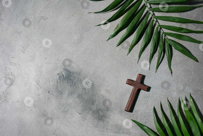Скачать Palm Sunday holiday фотосток Ozero