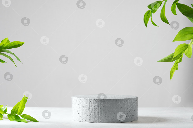 Скачать Бетонный пустой подиум и зеленые листья фотосток Ozero