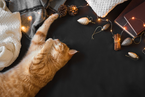 [object Object] undefined