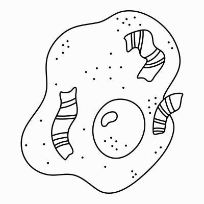 [object Object] undefined