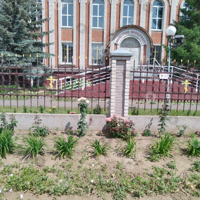 Скачать Юкка. фотосток Ozero