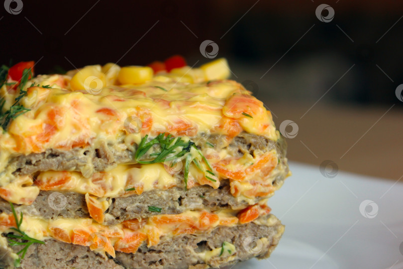 Скачать Кусок лазаньи крупным планом фотосток Ozero