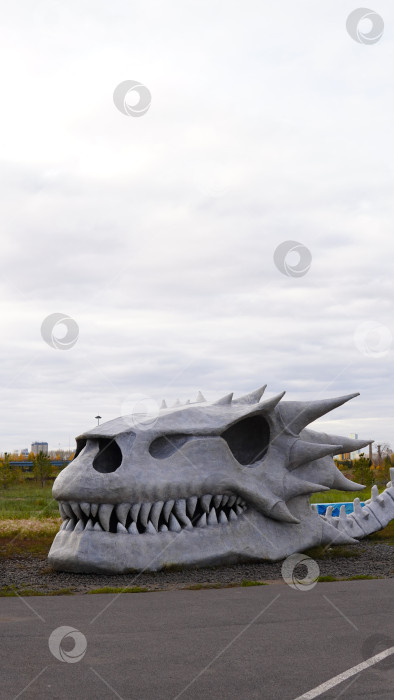 Скачать Череп дракона фотосток Ozero