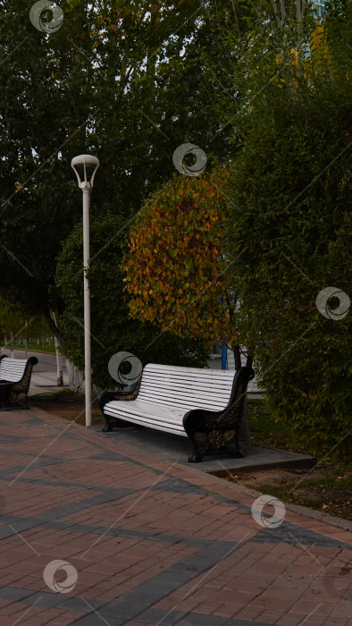 Скачать Скамейка в осеннем парке фотосток Ozero