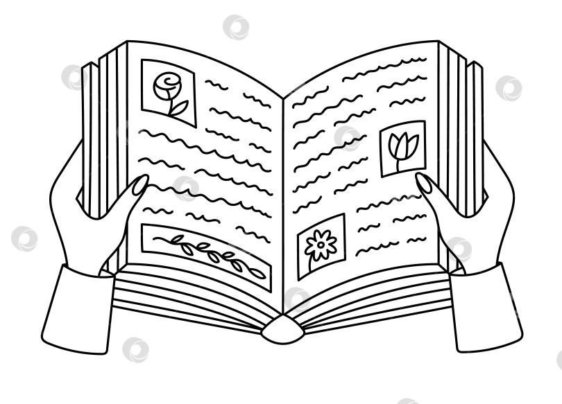 Скачать Красивая открытая книга в женских руках с абзацами и картинками. Симпатичная учебная книга, ботаническая энциклопедия, с рисунками от руки. Школьные принадлежности, выделенные на белом фоне. Каракули, изображающие чтение, когда дети учатся фотосток Ozero