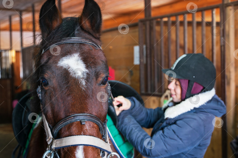 Скачать Девушка в шлеме для верховой езды седлает свою лошадь фотосток Ozero