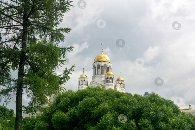 Скачать Кафедральный собор в честь храма на Крови в Екатеринбурге фотосток Ozero