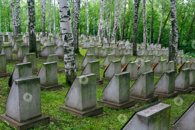 Скачать старое мемориальное военное кладбище с надгробными плитами фотосток Ozero