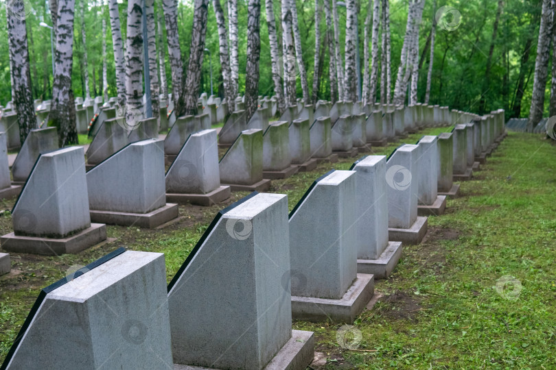 Скачать военное кладбище с рядами надгробий фотосток Ozero