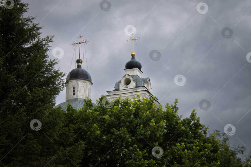 Скачать Купола Петропавловского собора в Тарусе в зелени фотосток Ozero