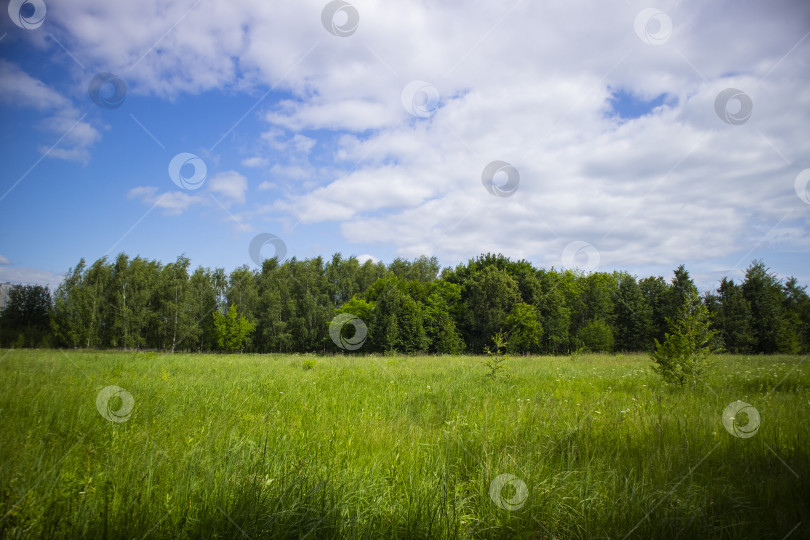 Скачать синее небо с облаками фотосток Ozero