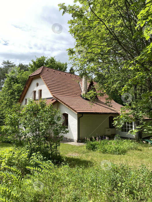 Скачать Белый коттедж в пышном зеленом саду под ярким небом, окруженный деревьями, подходит для создания фона фотосток Ozero