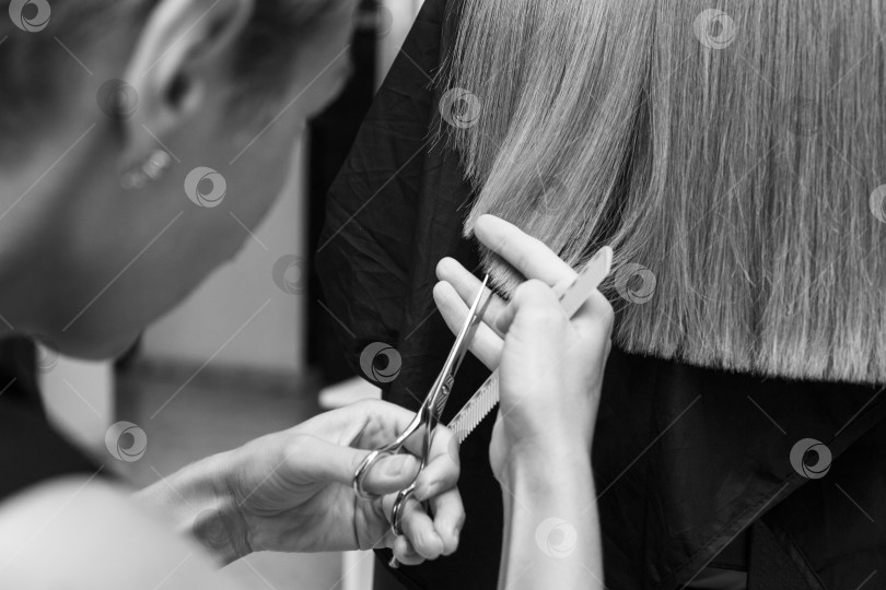 Скачать парикмахер стрижет волосы клиентке в салоне красоты крупным планом фотосток Ozero