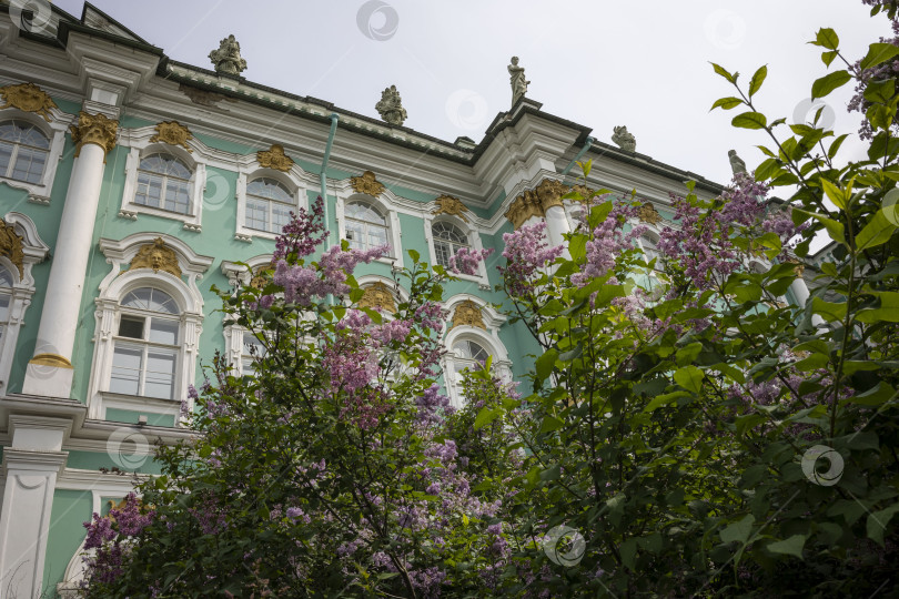 Скачать эрмитаж фотосток Ozero