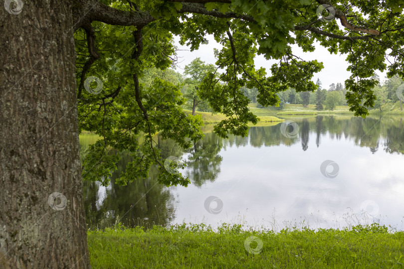 Скачать озеро фотосток Ozero