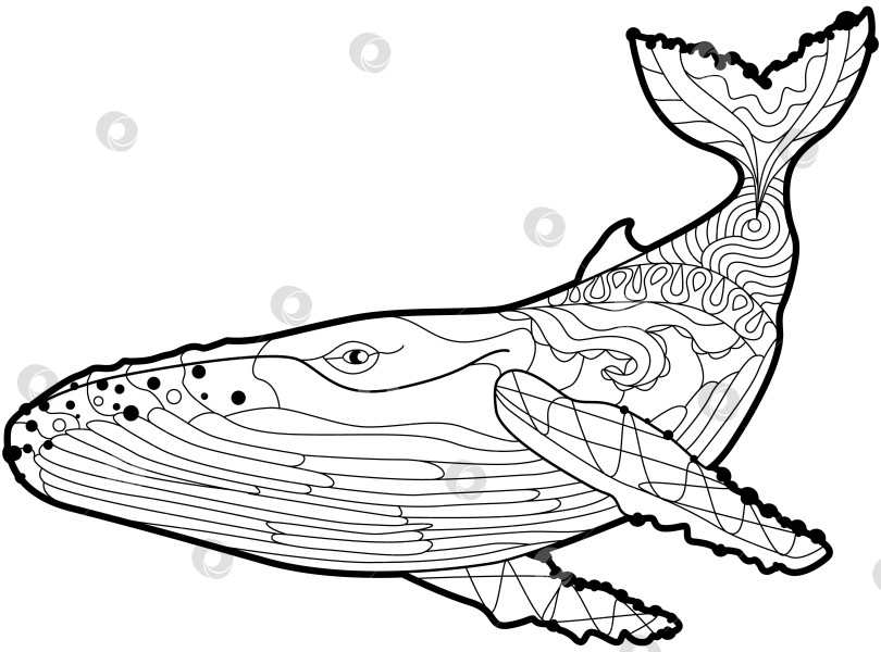 Скачать Плавающий кит для раскраски против стресса. фотосток Ozero