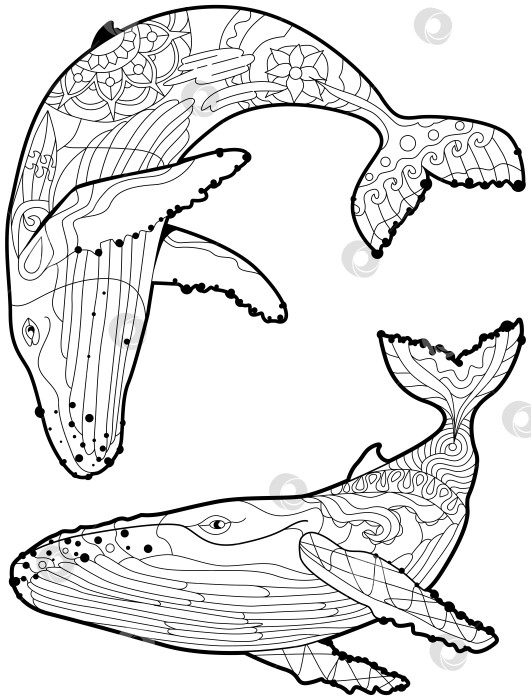 Скачать Набор плавающих китов для антистрессовой раскраски. фотосток Ozero