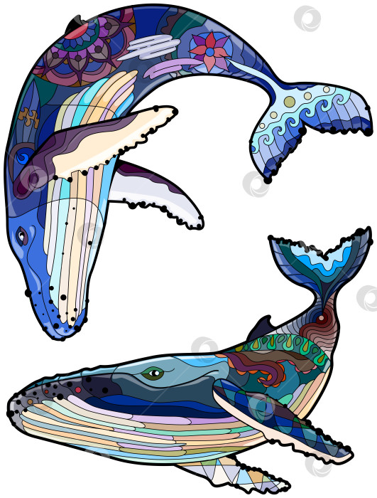 Скачать Набор для раскрашивания антистрессовой раскраски с изображением плавающего кита. фотосток Ozero