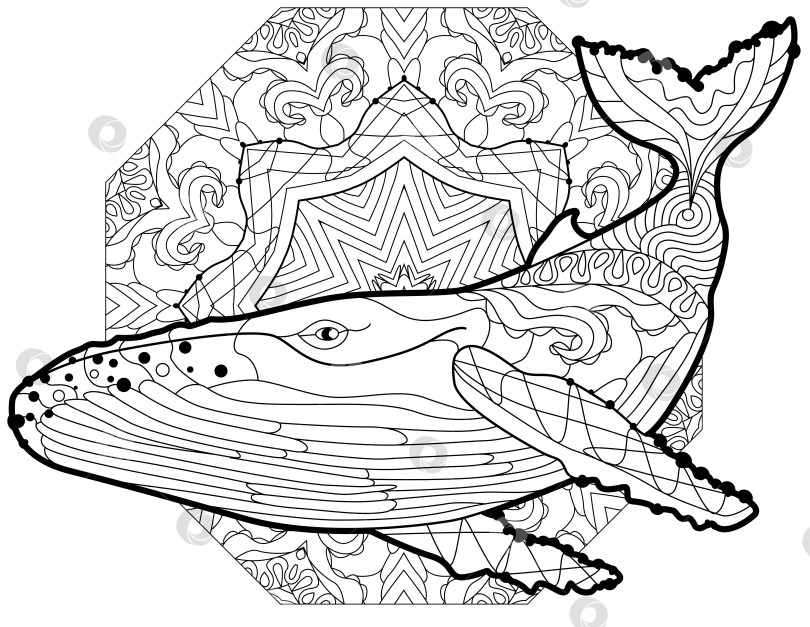 Скачать Плавающий кит для раскраски против стресса. фотосток Ozero