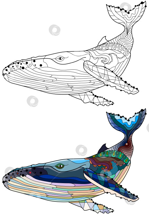 Скачать Раскраска "Плавающий кит" для антистрессовой игры. Набор цветов и контуров фотосток Ozero