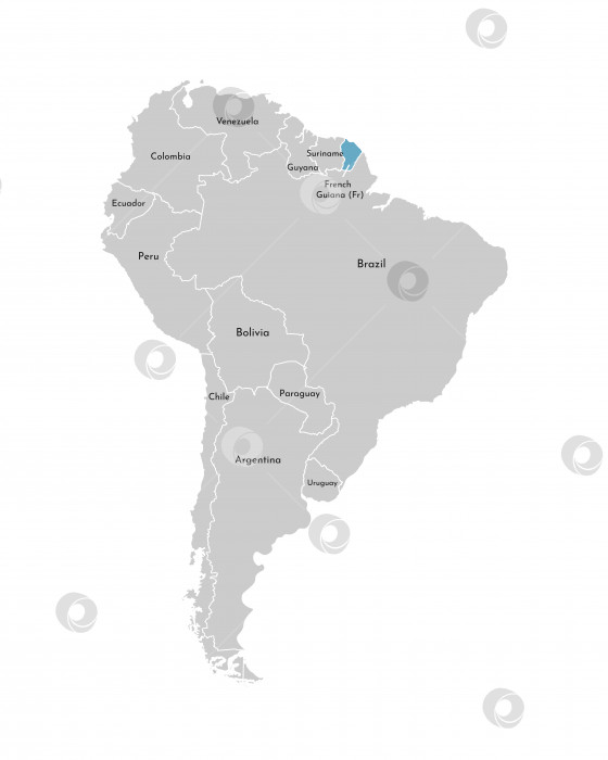 Скачать Векторная иллюстрация с упрощенной картой континента Южная Америка с синим контуром Французской Гвианы. Серые силуэты, белые очертания границы государств фотосток Ozero