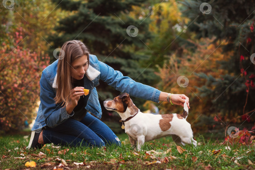 Скачать Выгуливать собаку фотосток Ozero