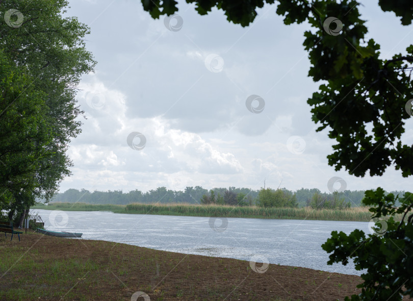 Скачать песчаный берег реки с деревьями и дождем фотосток Ozero