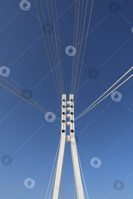 Скачать На мосту фотосток Ozero
